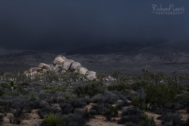 Approaching Storm in Joshua Tree by Richard Lewis
